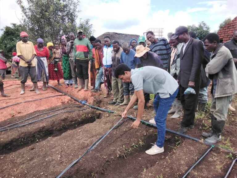 kazi-yetu-NSHDA-trainer-showing-farmers-drip-irrigation-system