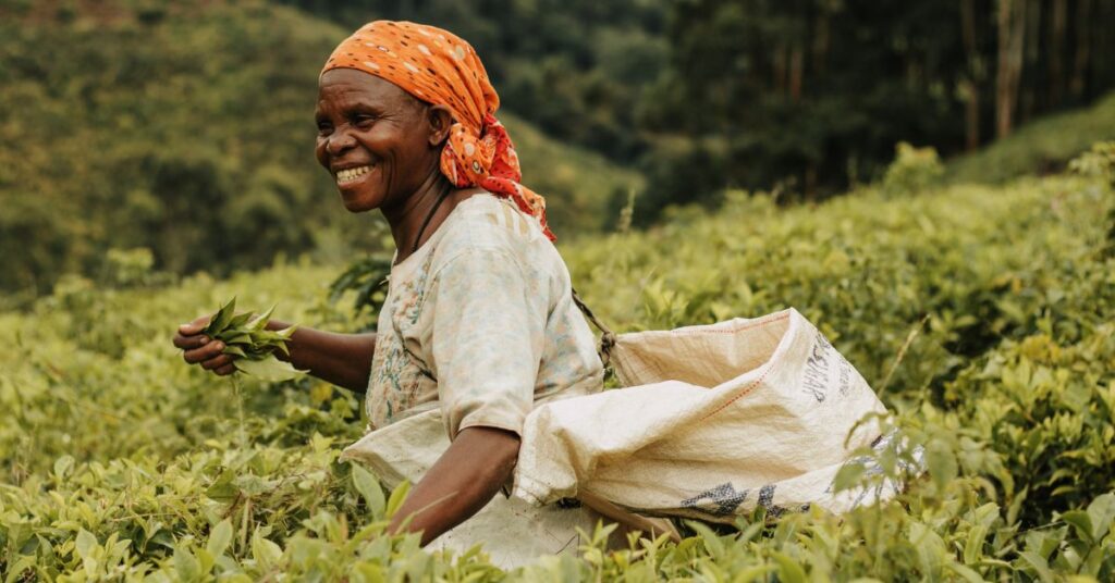 kazi-yetu-women-tea-farmer-plucking-tea-leaves